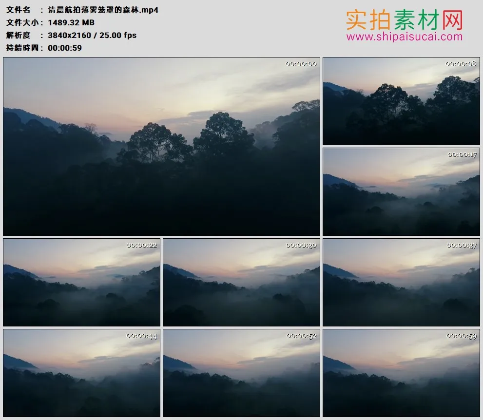 4K高清实拍视频素材丨清晨航拍薄雾笼罩的森林