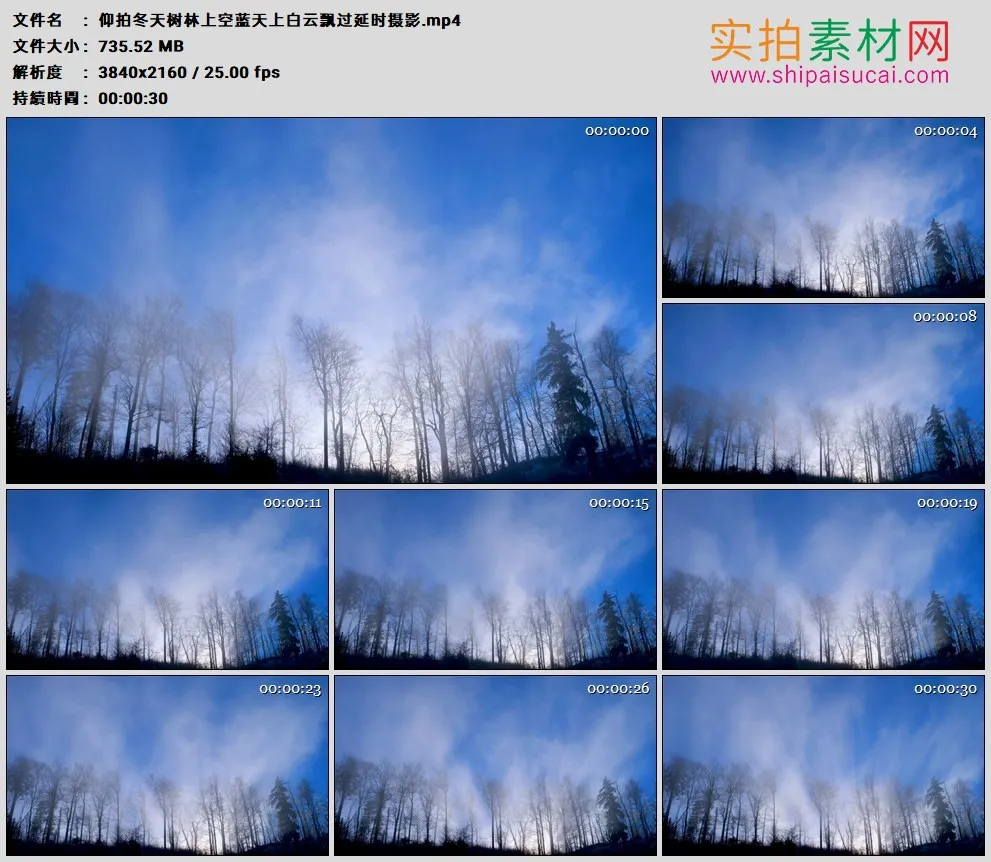 4K实拍视频素材丨仰拍冬天树林上空蓝天上白云飘过延时摄影