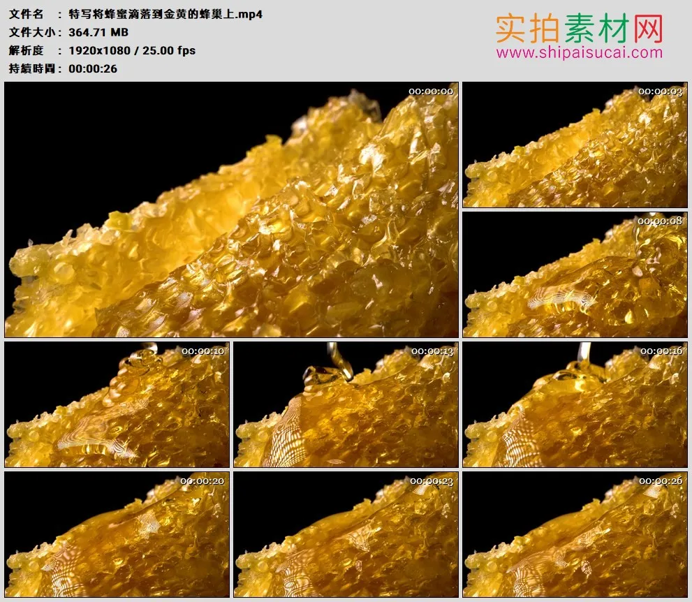 高清实拍视频素材丨特写将蜂蜜滴落到金黄的蜂巢上