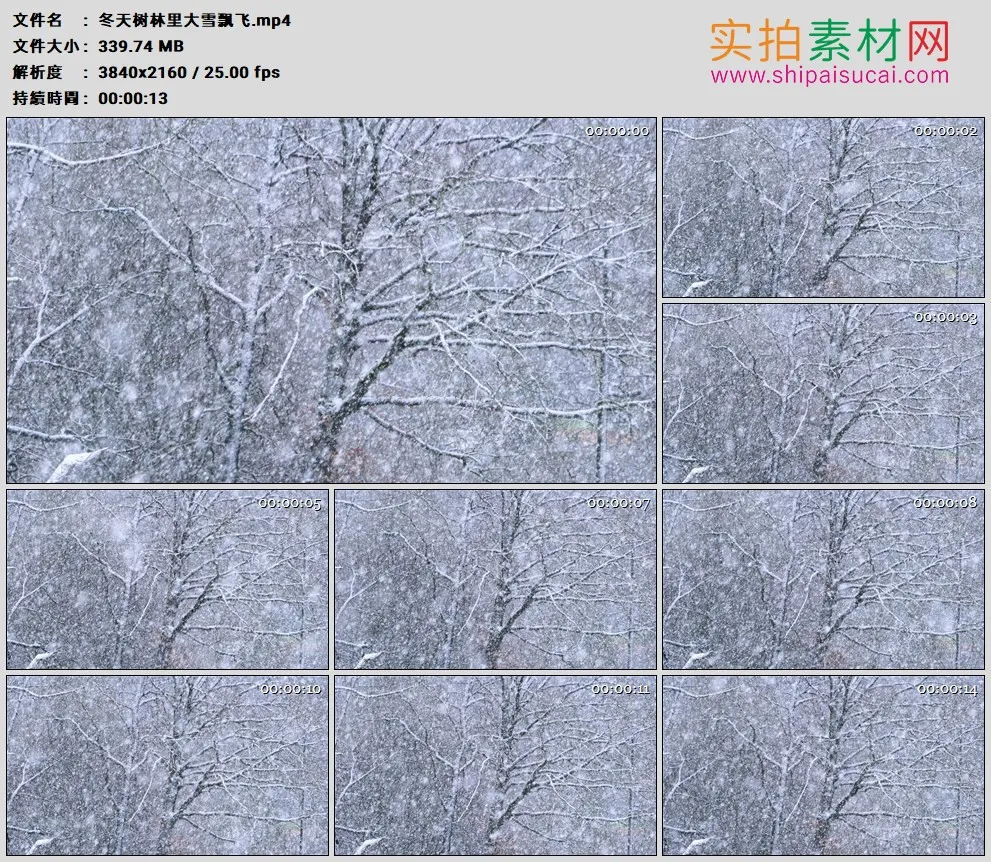 4K高清实拍视频素材丨冬天树林里大雪飘飞