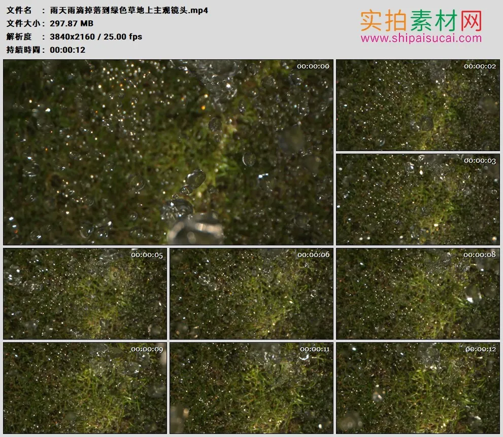 4K高清实拍视频素材丨雨天雨滴掉落到绿色草地上主观镜头
