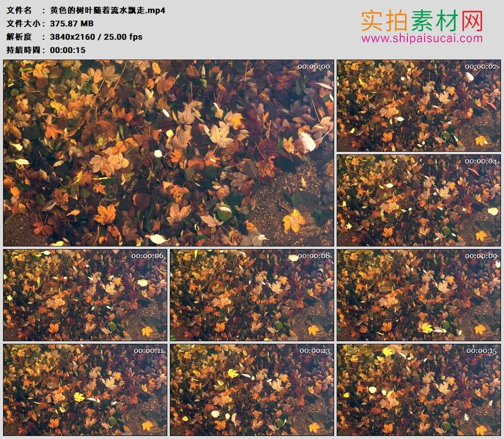 4K高清实拍视频素材丨黄色的树叶随着流水飘走