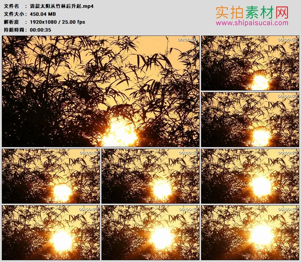高清实拍视频素材丨清晨太阳从竹林后升起