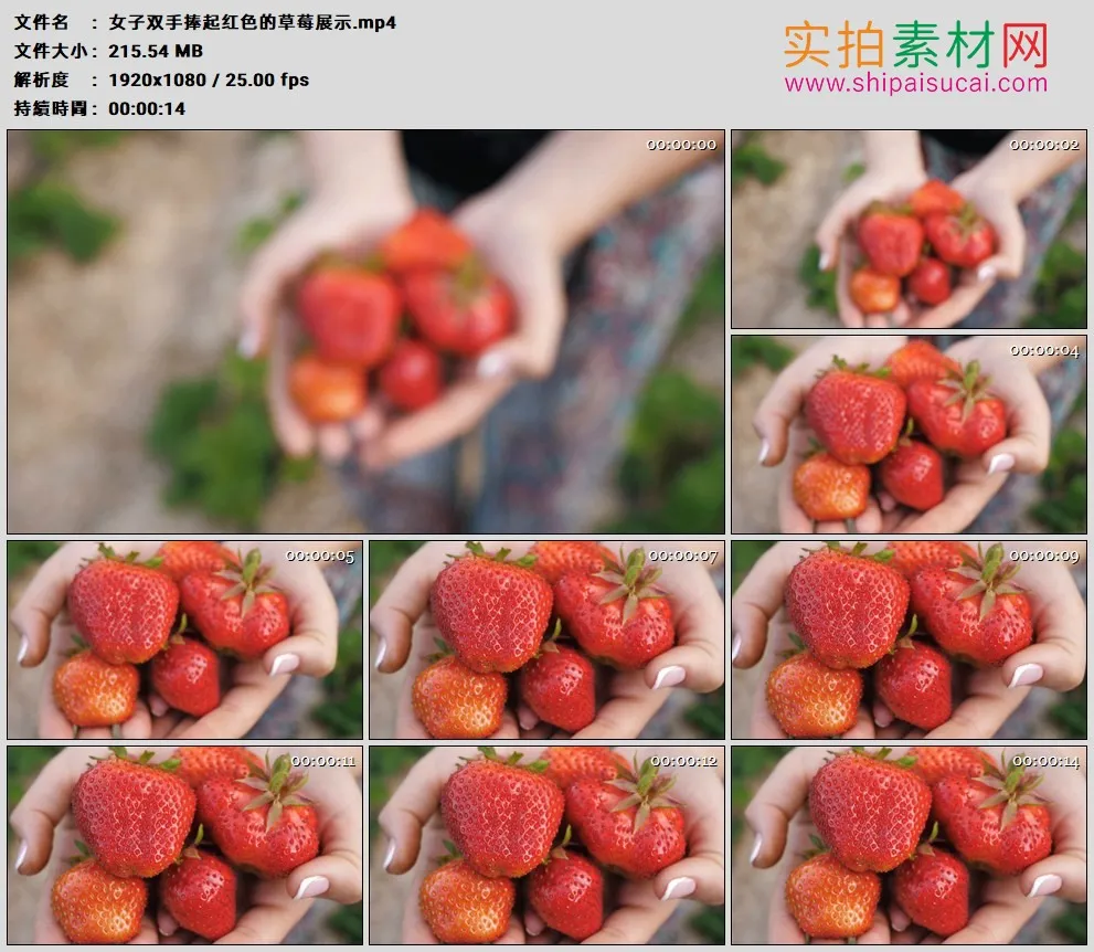 高清实拍视频素材丨女子双手捧起红色的草莓展示