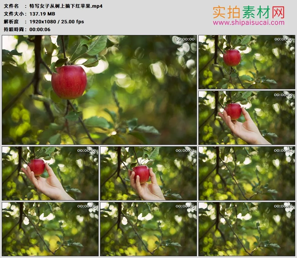 高清实拍视频素材丨特写女子从树上摘下红苹果