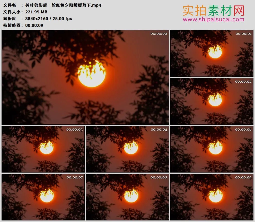 4K高清实拍视频素材丨树叶剪影后一轮红色夕阳缓缓落下