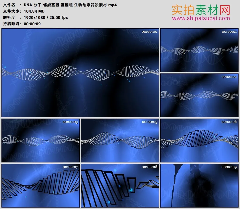 高清动态视频素材丨DNA 分子 螺旋基因 基因组 生物动态背景素材