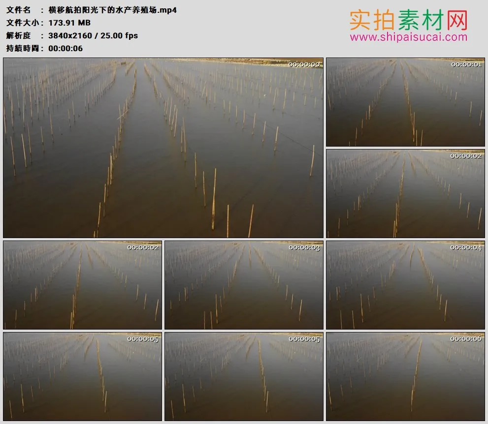 4K高清实拍视频素材丨横移航拍阳光下的水产养殖场