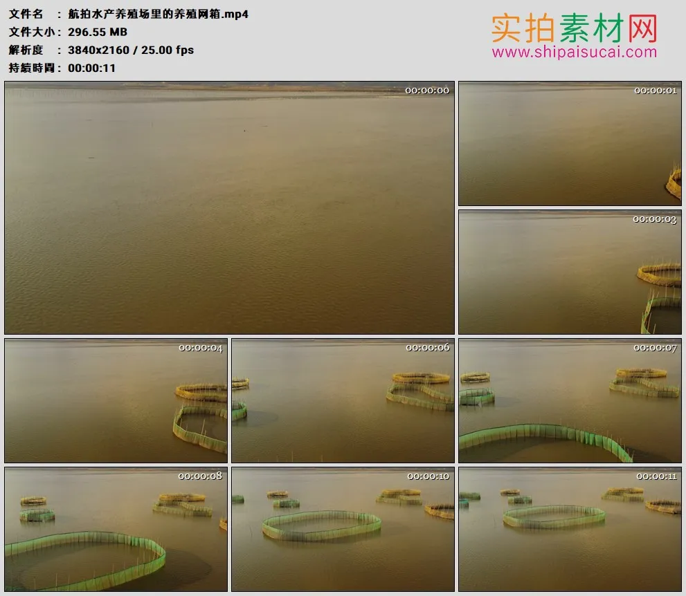 4K高清实拍视频素材丨航拍水产养殖场里的养殖网箱