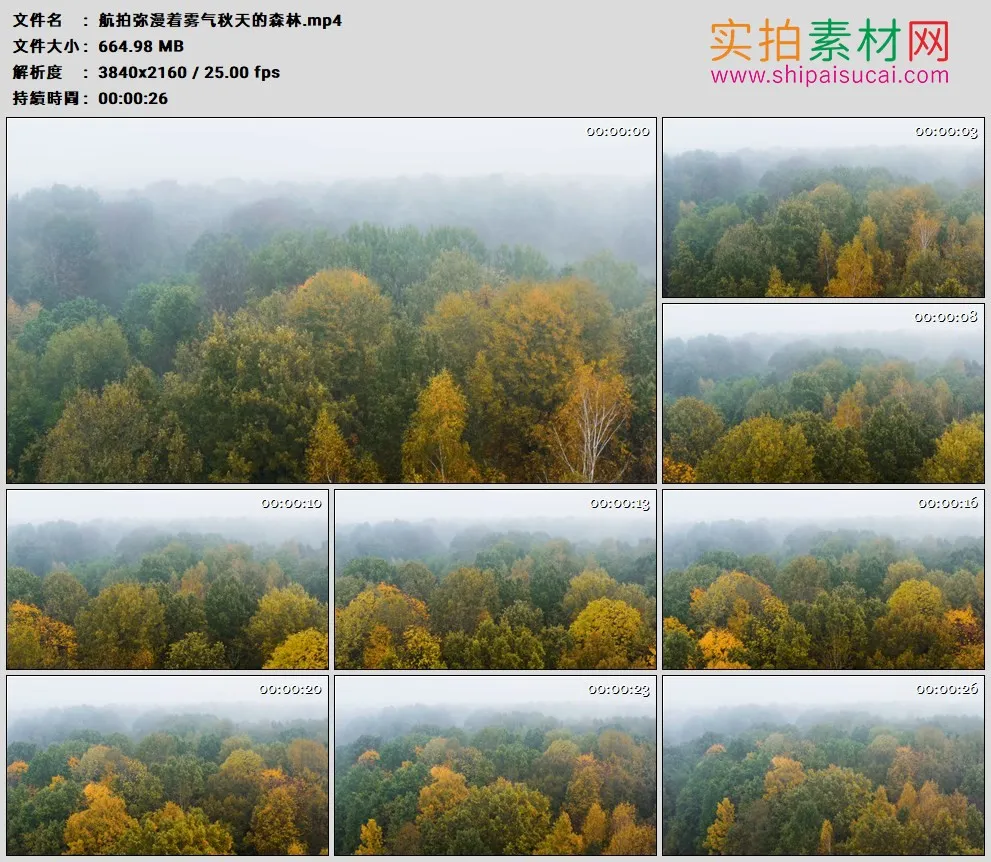 4K高清实拍视频素材丨航拍弥漫着雾气秋天的森林