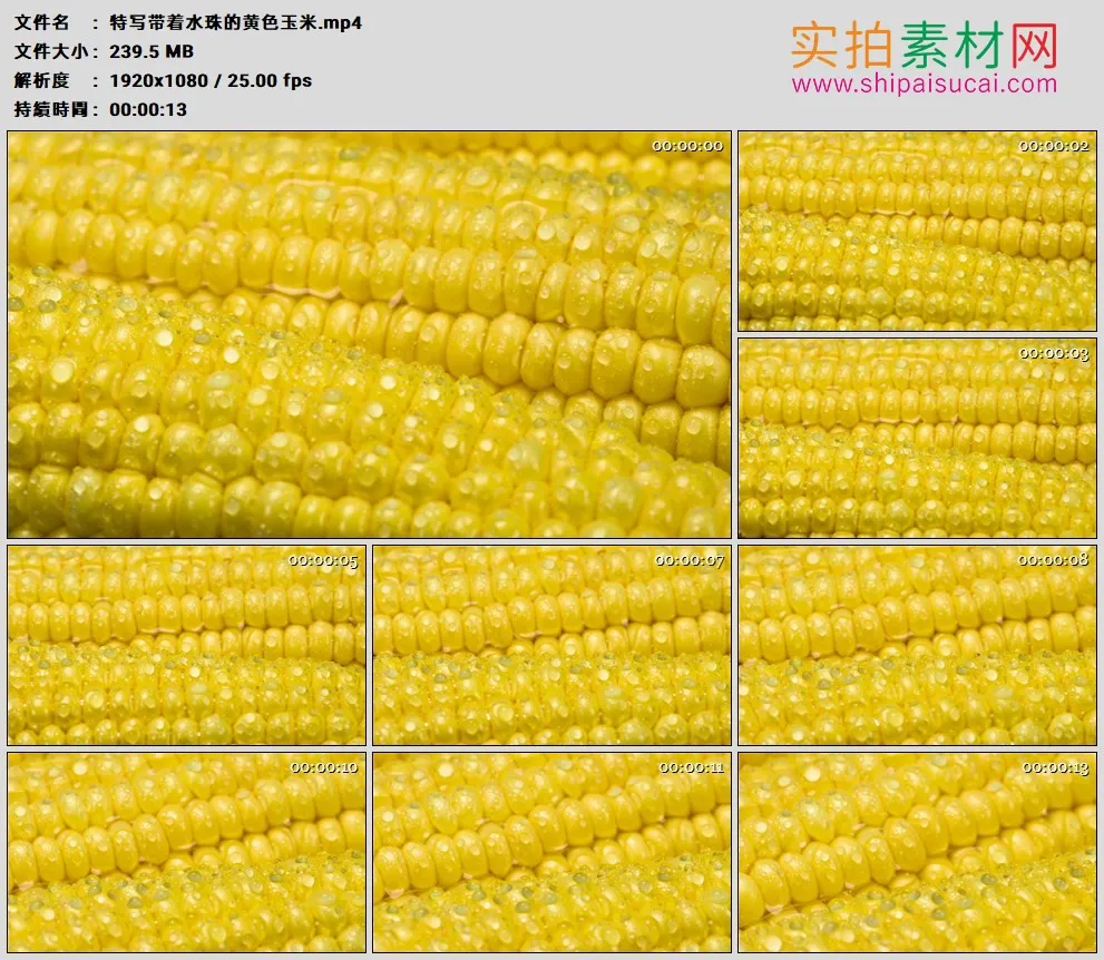 高清实拍视频素材丨特写带着水珠的黄色玉米