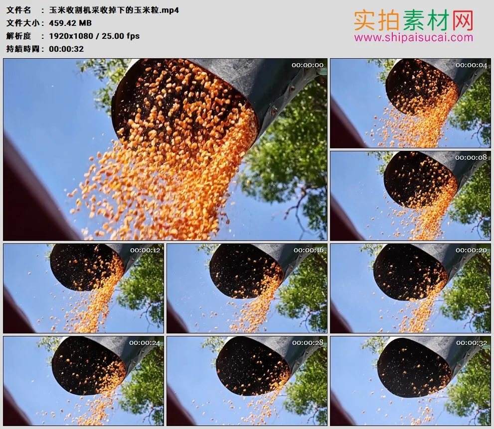 高清实拍视频素材丨玉米收割机采收掉下的玉米粒