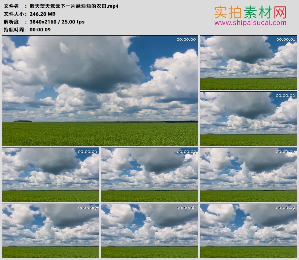 4K高清实拍视频素材丨晴天蓝天流云下一片绿油油的农田