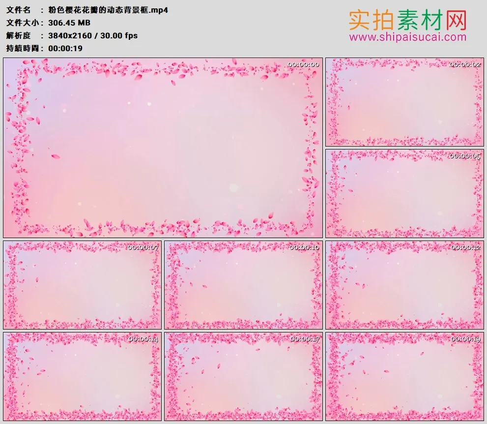 4K高清动态视频素材丨粉色樱花花瓣的动态背景框
