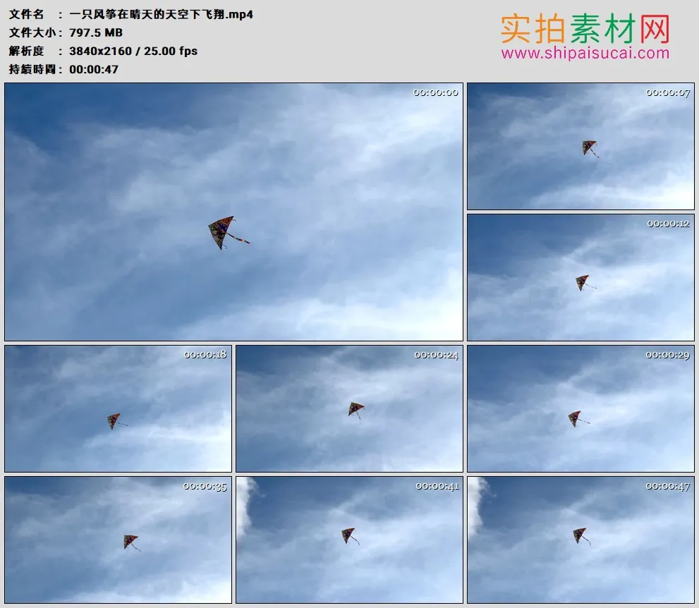 4K高清实拍视频素材丨一只风筝在晴天的天空下飞翔