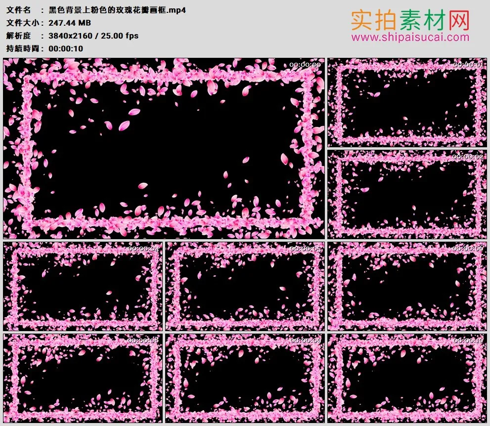 4K高清动态视频素材丨黑色背景上粉色的玫瑰花瓣画框