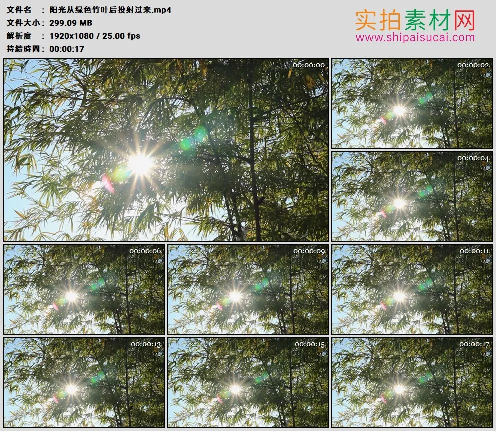 高清实拍视频素材丨阳光从绿色竹叶后投射过来